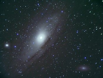 M31