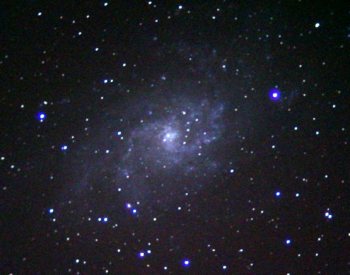 M33