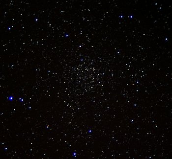 Rons Spot