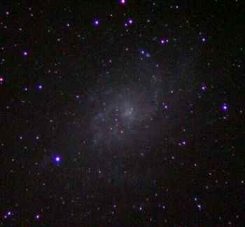 M33