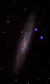 NGC 253