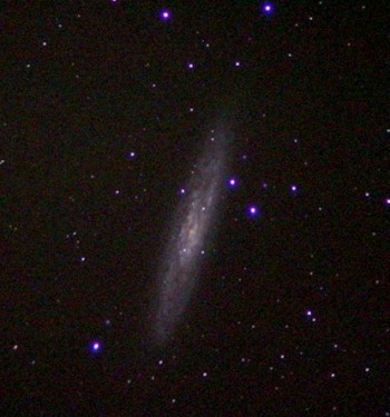 NGC 253